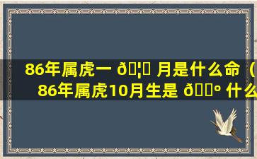 86年属虎一 🦅 月是什么命（86年属虎10月生是 🐺 什么命）